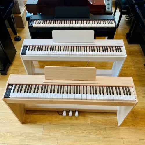 3 mau dan piano dien acutis adp 30