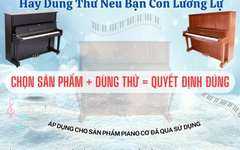 Chương trình dùng thử đàn piano tại nhà 58 chuong trinh dung thu piano