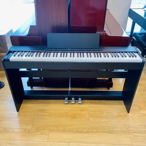 dan piano dien acutis adp 30 mau den