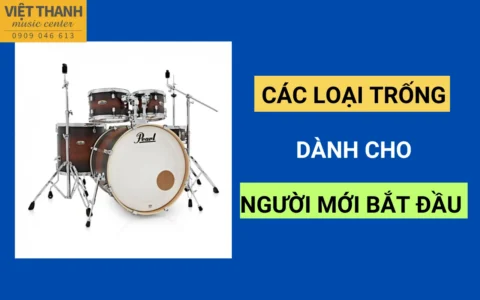 Hướng dẫn chi tiết về các loại trống 73 huong dan chi tiet ve cac loai trong