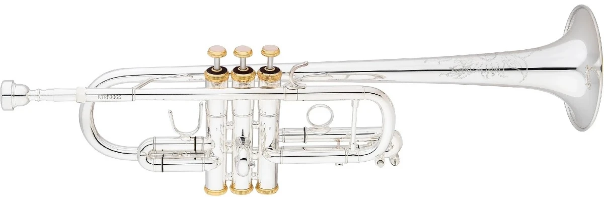 Kèn Trumpet Eastman ETR530GS 2 trumpet eastman etr530gs